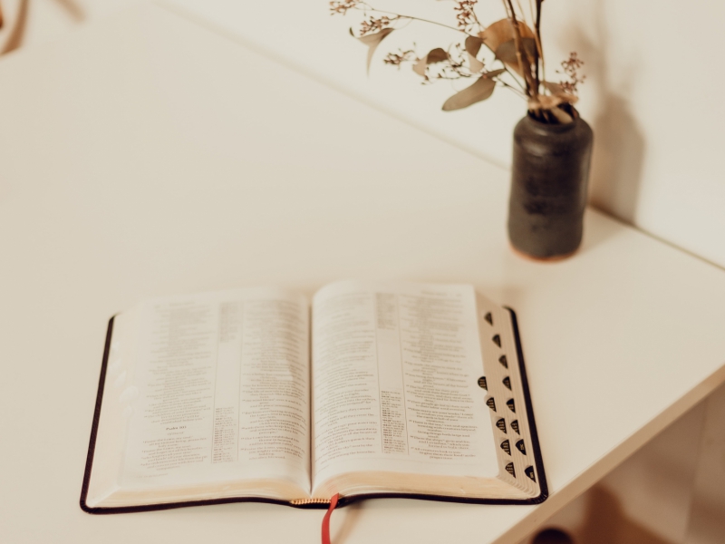 priscilla-du-preez-dguEiIWli5M-unsplash priscilla-du-preez-dguEiIWli5M-unsplash